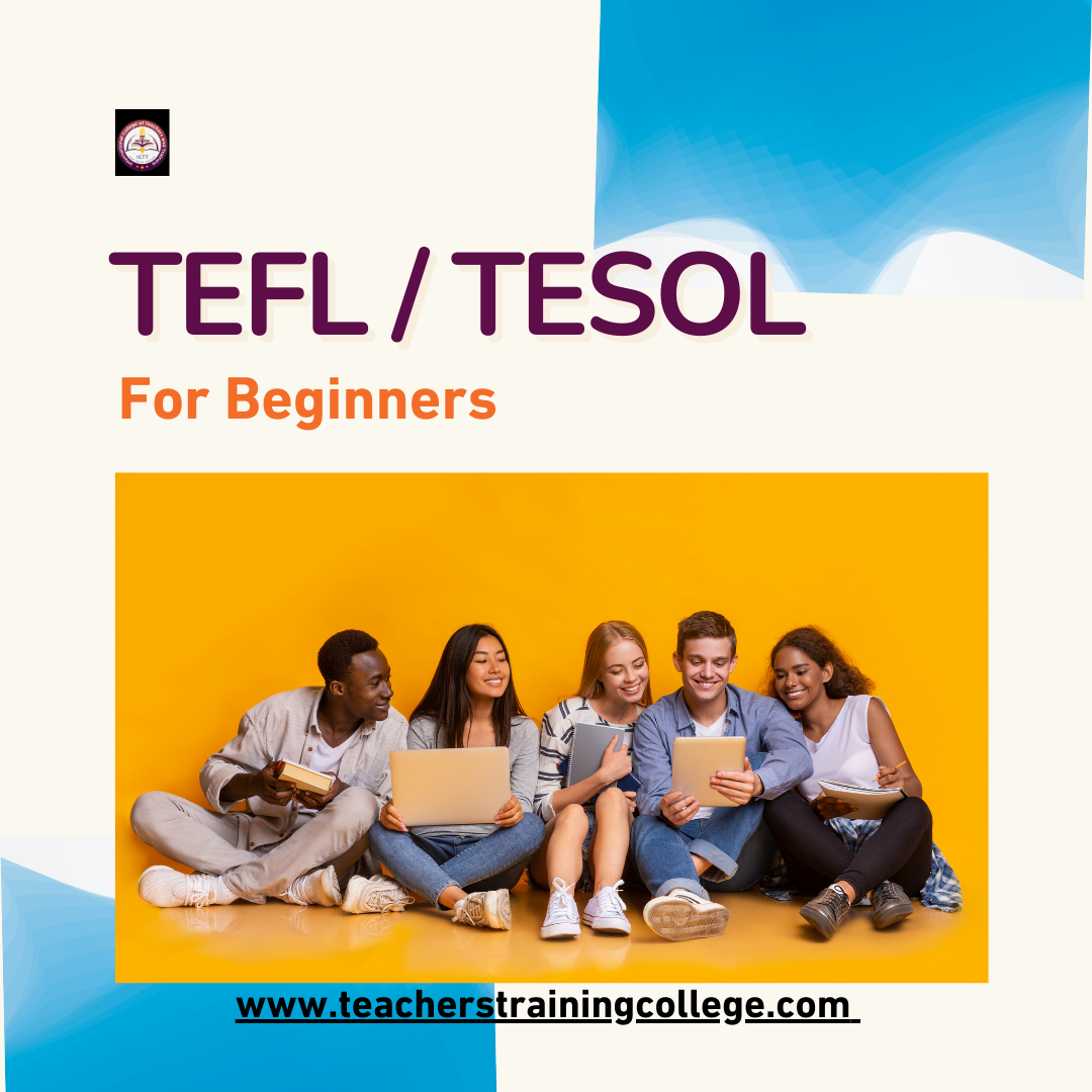 TEFL Certification for Beginners: Your Path to Global Teaching ...